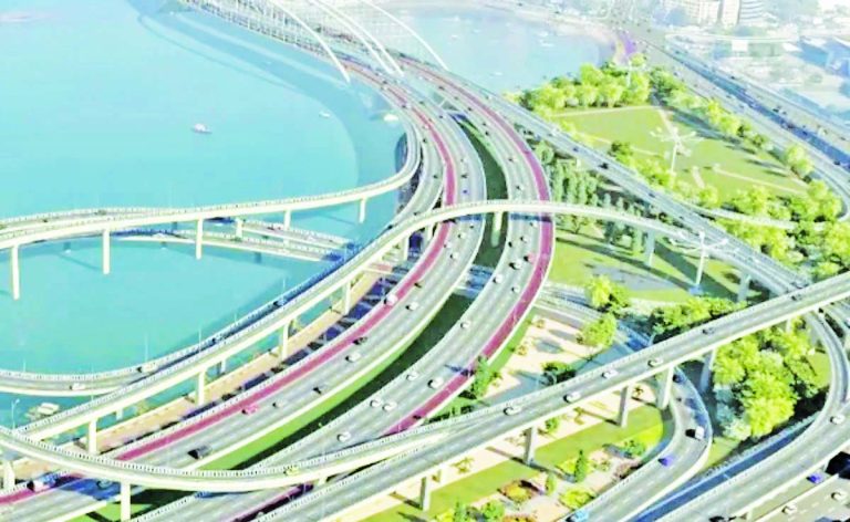 कोस्टल रोडसाठी ९ हजार खारफुटीच्या झाडांचा बळी!