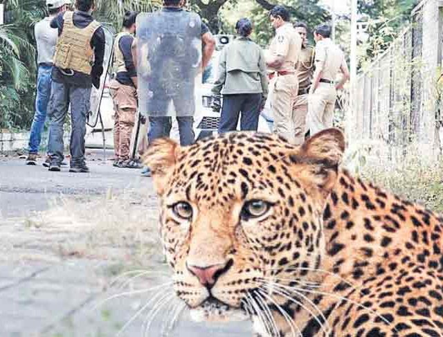 चक्राकार उपाय नकोत!