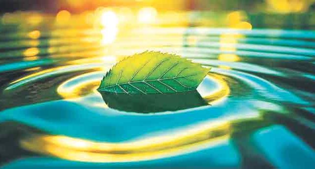 नवसंजीवन...