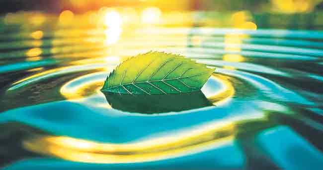 नवसंजीवन…