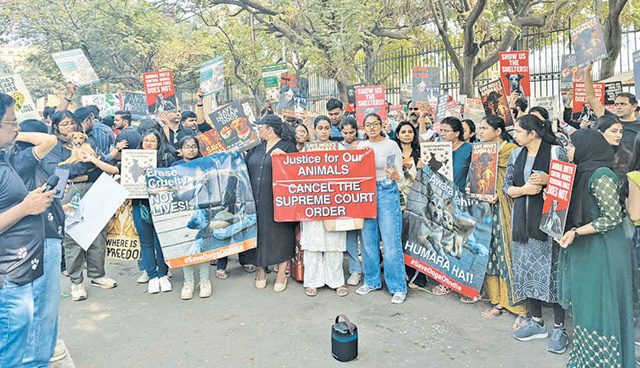 भटक्या कुत्र्यांवरील कारवाईविरोधात मुंबईत ‘करा किंवा मरा’ आंदोलन