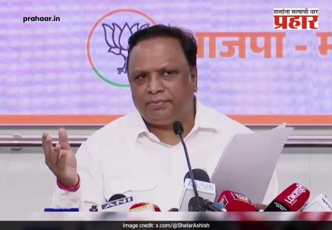 Ashish Shelar : मेंदूत केमिकल लोचा अन् हातावर…’रडके’ म्हणत आशिष शेलारांनी ठाकरे बंधूना काढला चिमटा