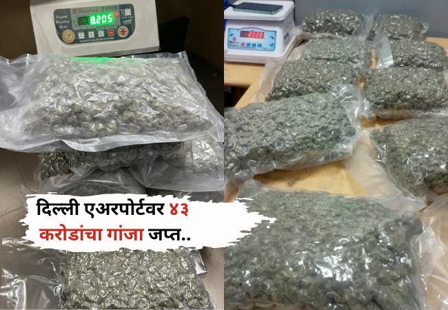 Delhi Airport Drug News:”विमानातून घेऊन जात होते ४३ कोटींचा गांजा” पोलींसांनी विमानतळावरच…