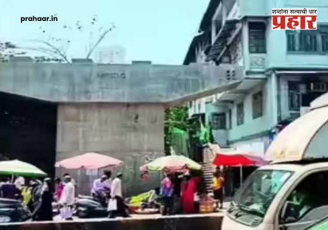 Dadar Bridge : दादरमध्ये उभारला जातोय ६ पदरी पूल, ७० टक्के काम पूर्ण; कसा असेल 'हा' पूल ? पाहा कधी होणार सुरू ?