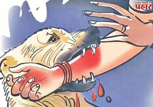 कुत्रा चावल्यास मोबदला  राज्य सरकारने द्यावा!