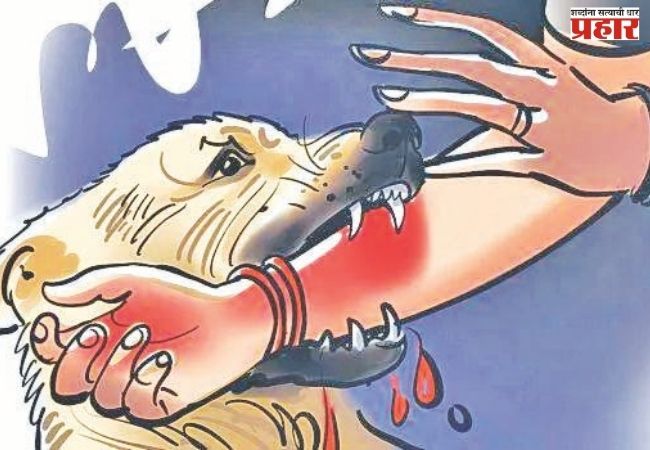 कुत्रा चावल्यास मोबदला  राज्य सरकारने द्यावा!