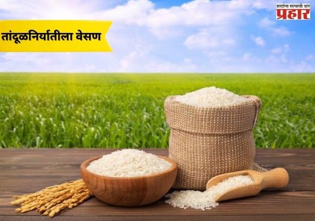 तांदूळनिर्यातीला वेसण