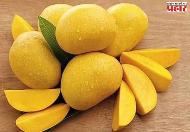 अलिबागचा हापूस मुंबईच्या बाजारात