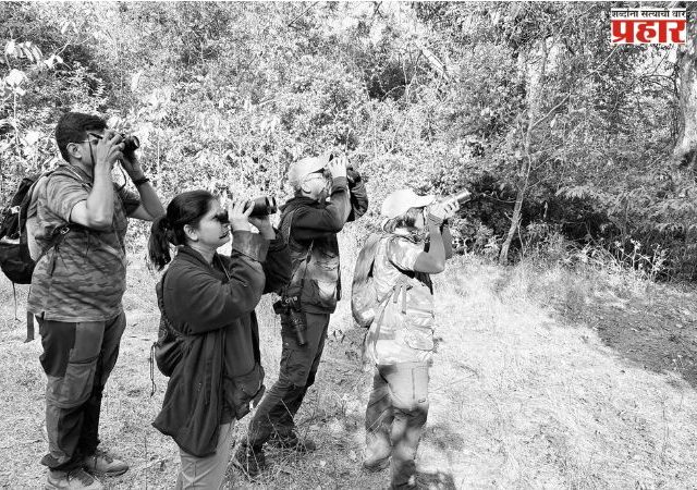 फणसाड अभयारण्यात ३० जानेवारीपासून पक्षी गणना