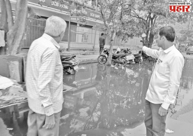 नवनिर्वाचित नगरसेवकांची महापालिकेत वर्दळ