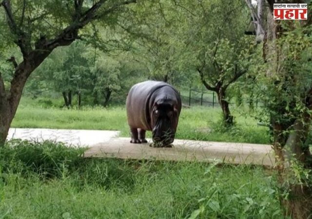 अलवारमध्ये उभारला जाणार पहिला जैविक उद्यान प्रकल्प