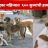 एका महिन्यात  ९०० कुत्र्यांची हत्या