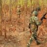 छत्तीसगडमध्ये नक्षलवाद्यांकडून आयईडी स्फोट; ११ जवान जखमी
