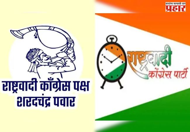 जिल्हा परिषद, पंचायत समिती निवडणुका दोन्ही राष्ट्रवादी एकत्र लढणार?