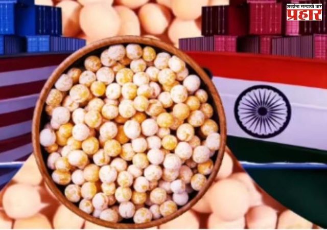 अमेरिकन डाळींवर ३०% टॅरिफ;  अमेरिकन शेतकरी अस्वस्थ