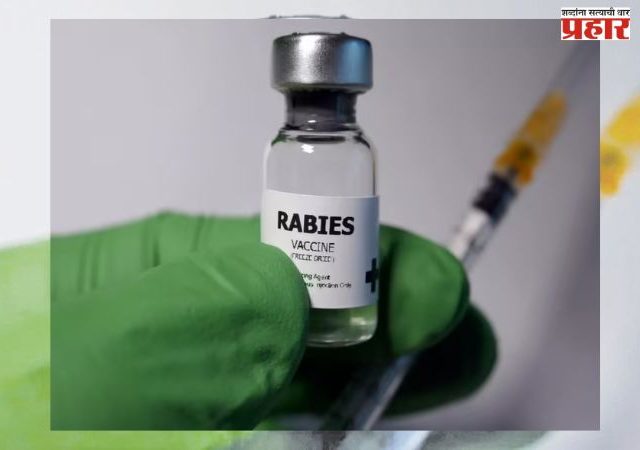 भारतात मिळतेय बनावट रेबीज लस