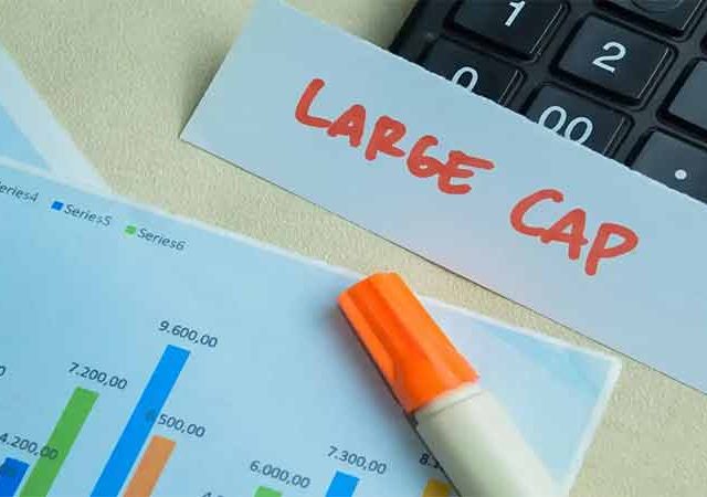 पीपीएफएएस म्युच्युअल फंडकडून पराग पारिख लार्ज कॅप फंड लाँच