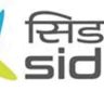 मंत्रिमंडळाची भारतीय लघु उद्योग विकास बँकेला (सिडबी) इक्विटी सहाय्याला मंजुरी