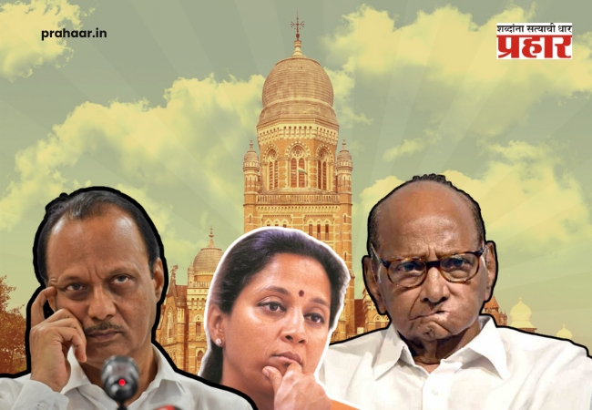 BMC Election 2026 : शरद पवारांच्या राष्ट्रवादीची २९ पैकी १४ महापालिकेत घसरगुंडी! पुणे-पिंपरी चिंचवडमध्येही भोपळा फुटला नाही