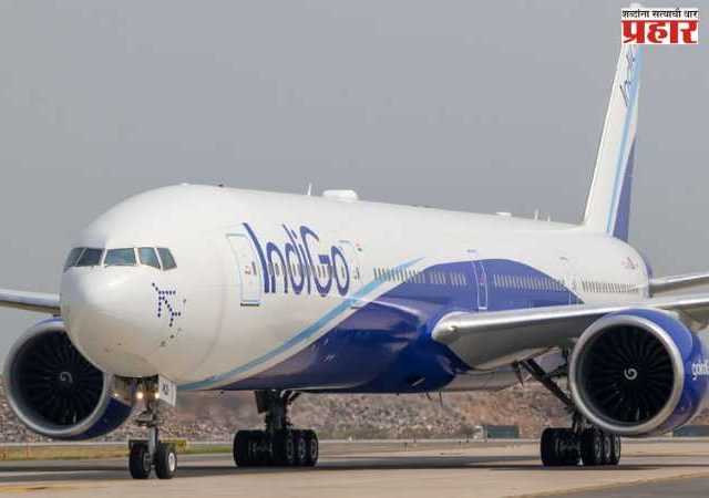 इंडिगो फ्लाईटला हवेत पक्षाची धडक! पायलटच्या प्रसंगावधानाने वाचले २१६ लोकांचे प्राण