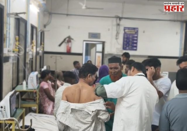 जालन्यात मतदानासाठी बाहेर पडलेल्या मतदारांवर पिसाळलेल्या कुत्र्याचा हल्ला