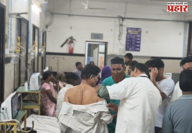 जालन्यात मतदानासाठी बाहेर पडलेल्या मतदारांवर पिसाळलेल्या कुत्र्याचा हल्ला