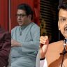 फडणवीसांचा ठाकरे बंधूंवर निशाणा! महाराष्ट्रात बाळासाहेब ठाकरे हा एकच ब्रँड, ब्रँड सांगणाऱ्यांचाच बँड वाजवू