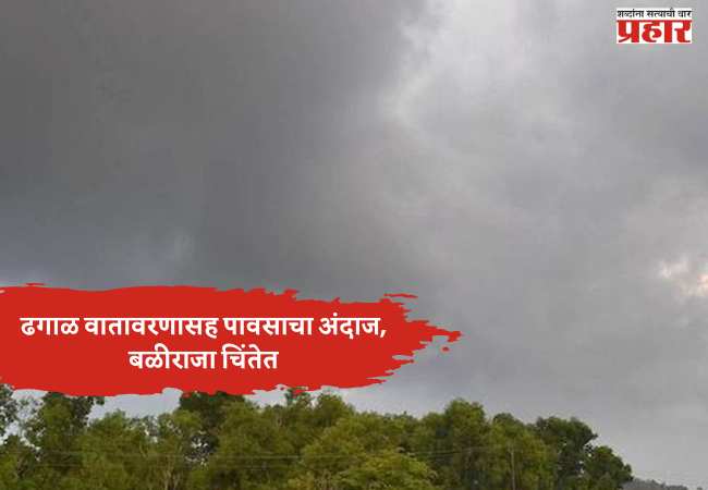 महाराष्ट्रातील सात जिल्ह्यांत हवामानाचा बदल; ढगाळ वातावरणासह पावसाचा अंदाज, बळीराजा चिंतेत