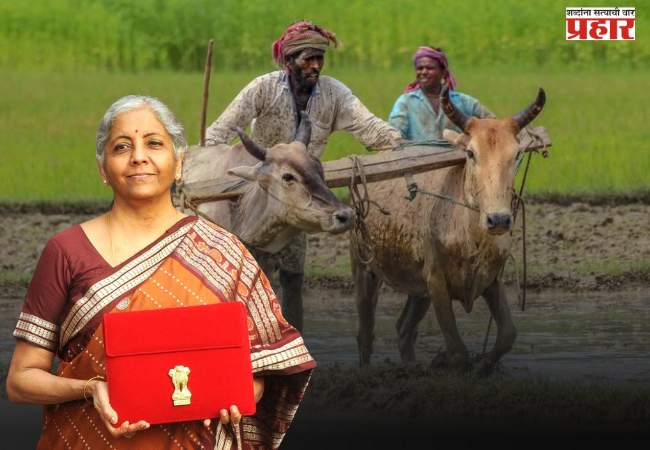 Budget 2026 : उद्या संसदेत देशाचा अर्थसंकल्प सादर होणार; कृषी क्षेत्राकडून मोठ्या अपेक्षा