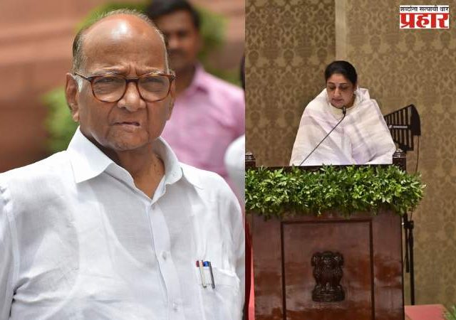 सुनेत्रा पवारांच्या जागी पुत्र पार्थ पवार राज्यसभेवर? - राष्ट्रवादीच्या कोट्यातील जागा रिक्त; राष्ट्रीय अध्यक्षपदासाठी प्रफुल्ल पटेल यांच्या नावाची चर्चा