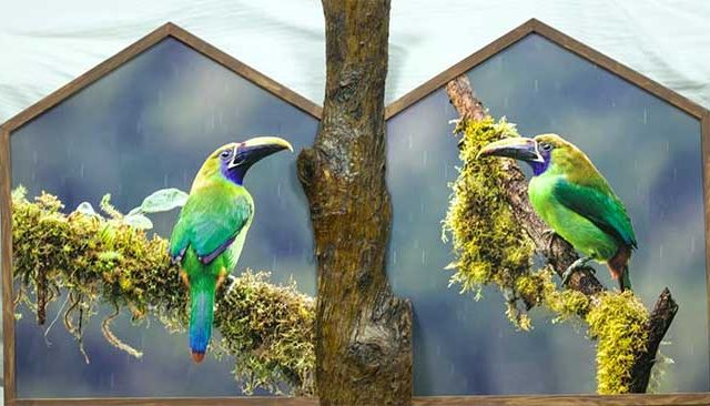 परळी वैजनाथमध्ये १३ फेब्रुवारीपासून अखिल भारतीय पशुपक्षी प्रदर्शन