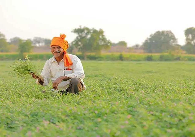 मोदी सरकारचा मोठा निर्णय, महाराष्ट्रातील तूर उत्पादक शेतकऱ्यांना होणार फायदा