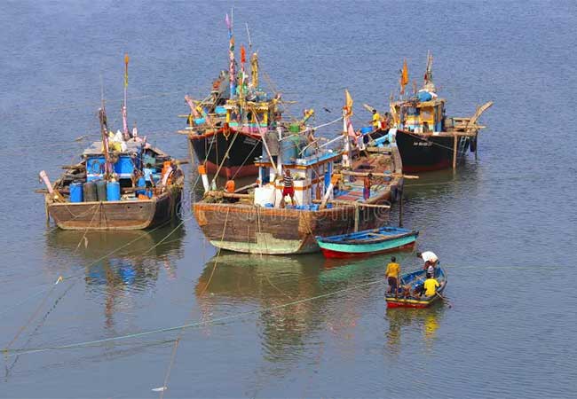 मच्छिमारांच्या संघटनेचा महायुतीला पाठिंबा