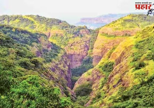 ताम्हिणी घाटातील सिक्रेट पॉईंटवर खून  आरोपी २४ तासात पोलिसांच्या ताब्यात