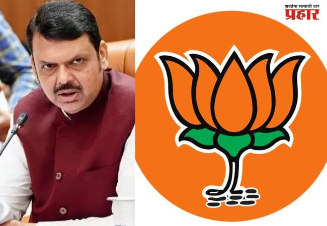 २९ पैकी २५ महापालिकांवर भाजप महायुतीचा भगवा