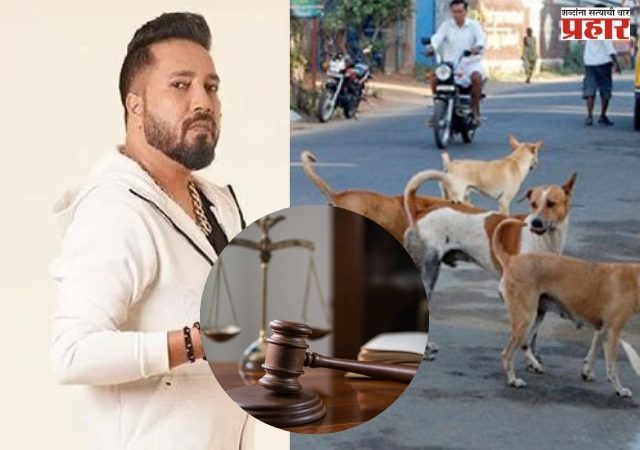 भटक्या कुत्र्यांसाठी गायक मिका सिंगची न्यायालयाला विनंती