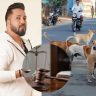 भटक्या कुत्र्यांसाठी गायक मिका सिंगची न्यायालयाला विनंती