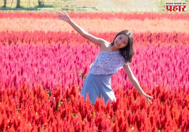 स्वतःला प्राधान्य द्या...