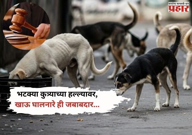Street Dogs: भटक्या कुत्र्यांच्या हल्ल्यांवर सर्वोच्च न्यायालयाचा कडक निर्णय, खाऊ घालणाऱ्यांनाही जबाबदार ठरवणार