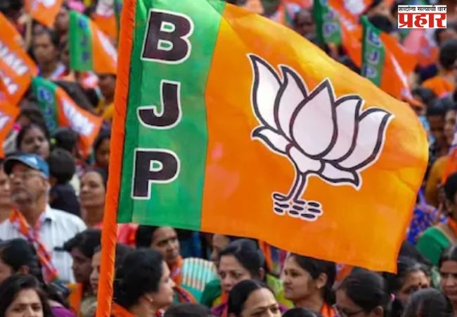 भाजप दक्षिण महाराष्ट्रात काठावर पास!