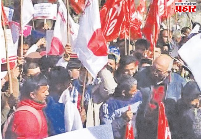 न्यूझीलंड सफरचंदावरील आयात शुल्क कमी केल्याने संताप