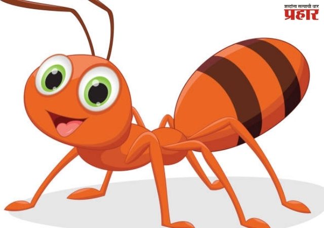 चिंगी  मुंगी...