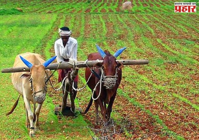 महायुती सरकारचा बळीराजाला दिलासा