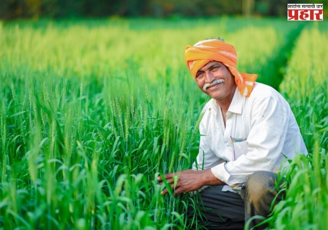 राज्यात ३.३७ लाख मेट्रिक टन तूर खरेदीला केंद्राची मान्यता - मंत्री जयकुमार रावल