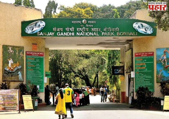 नॅशनल पार्कमधील आदिवासी पाड्यांवरील कारवाईला तात्पुरती स्थगिती