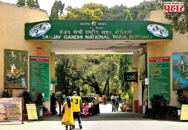नॅशनल पार्कमधील आदिवासी पाड्यांवरील कारवाईला तात्पुरती स्थगिती