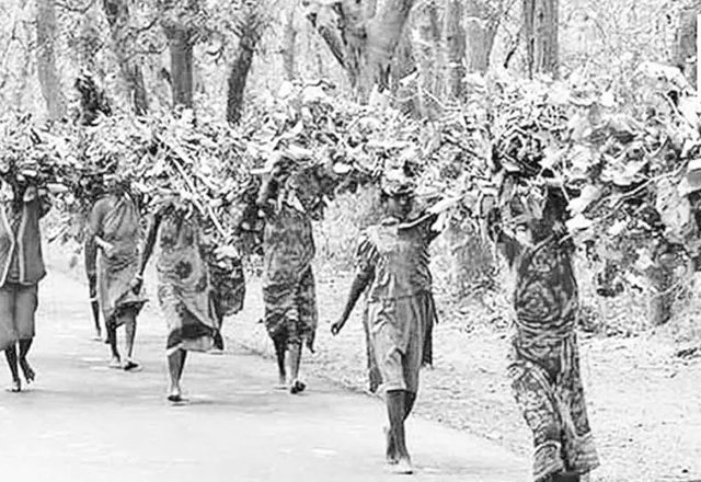 सबळ पुराव्यांअभावी आदिवासींचे वनहक्क दावे फेटाळले