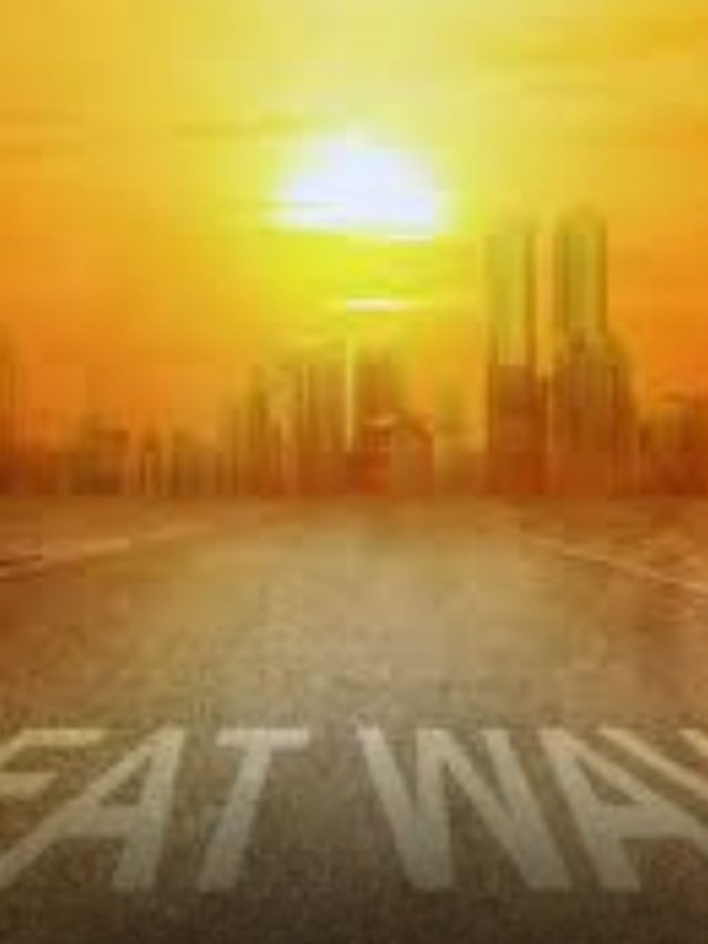 Weather Update: महाराष्ट्रातील वातावरणात बदल, कोकण ते विदर्भापर्यंत पुन्हा अलर्ट, ११ फेब्रुवारीला कसं असेल हवामान?