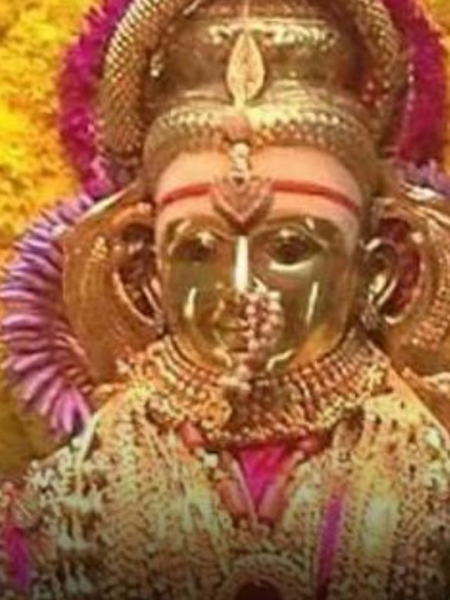 श्री भराडी देवीची व तिच्या यात्रेची महती जगभरात