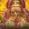 श्री भराडी देवीची व तिच्या यात्रेची महती जगभरात
